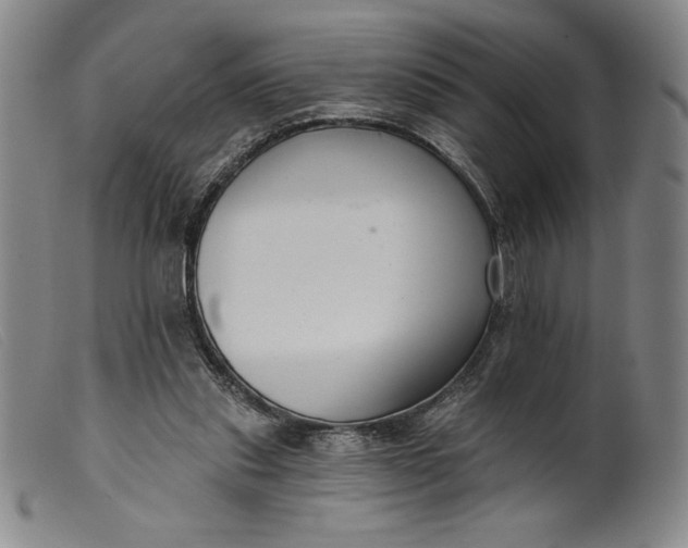 X0000099440253200805231724