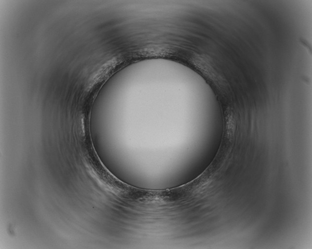 X0000099440254200805231724