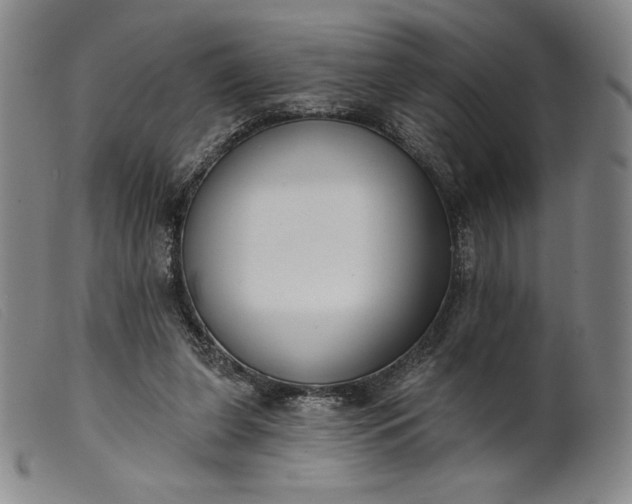 X0000099440255200805231724