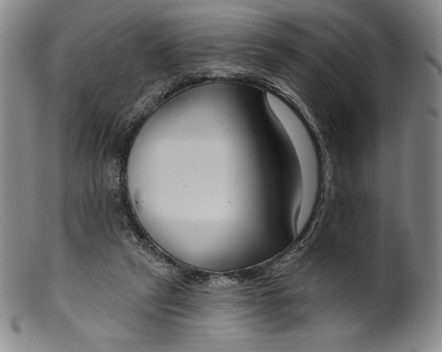 X0000099440257200805231725