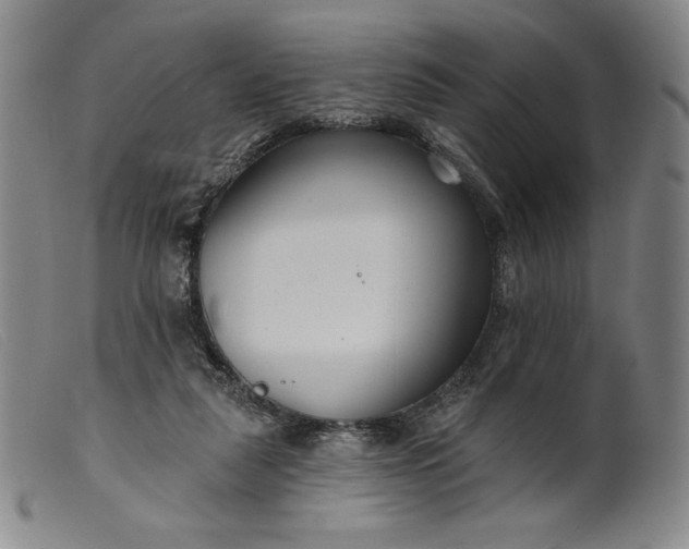 X0000099440259200805231725