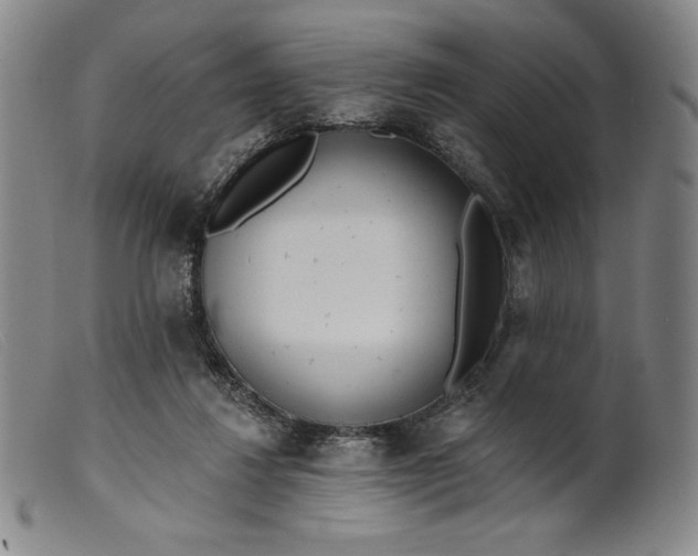 X0000099440260200805231725