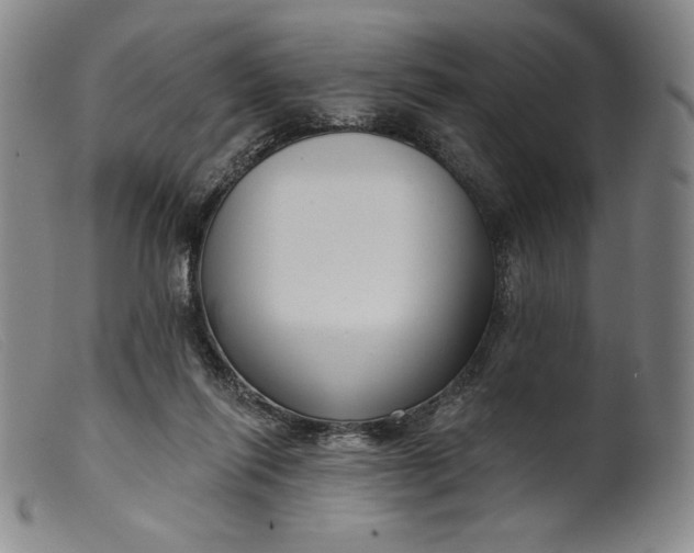 X0000099440262200805231725