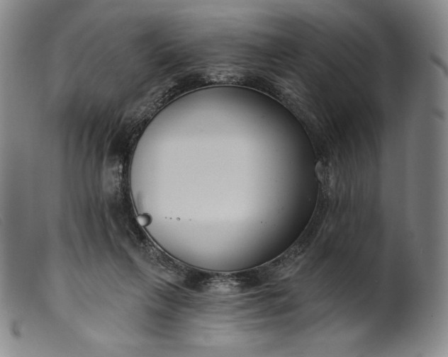 X0000099440263200805231725