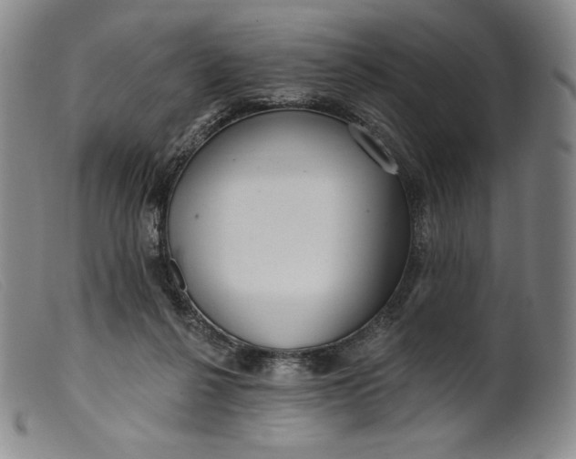 X0000099440264200805231725