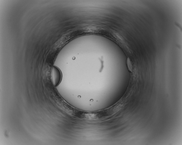 X0000099440265200805231725
