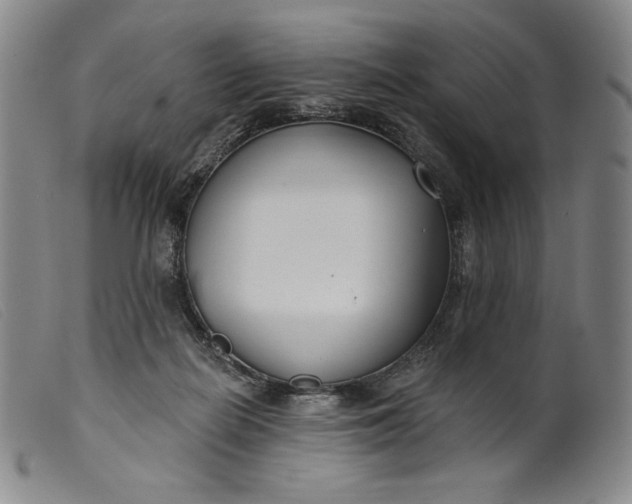 X0000099440266200805231725