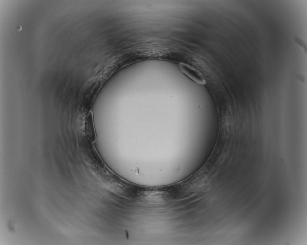 X0000099440268200805231725