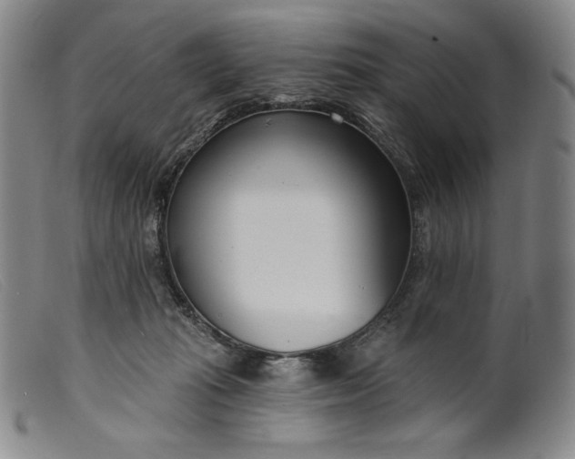 X0000099440269200805231725