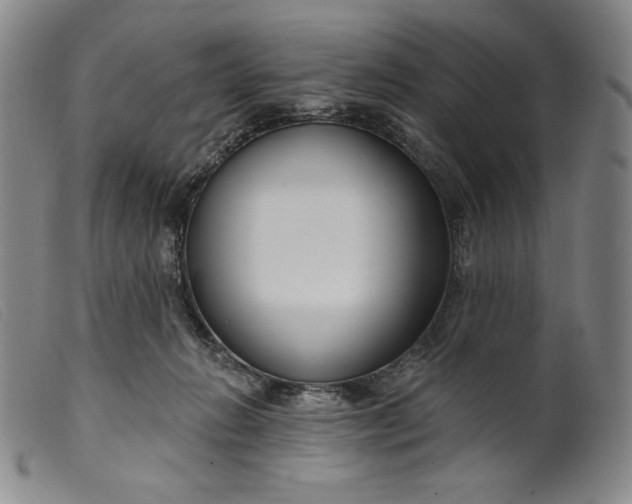 X0000099440270200805231725