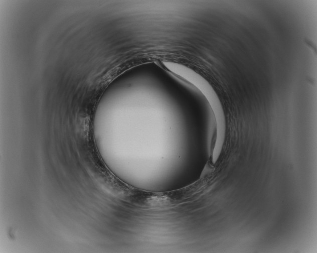X0000099440271200805231725