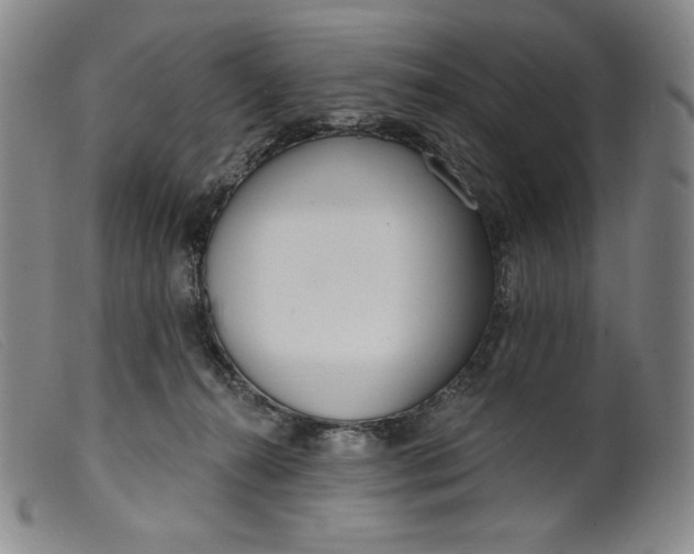X0000099440272200805231725