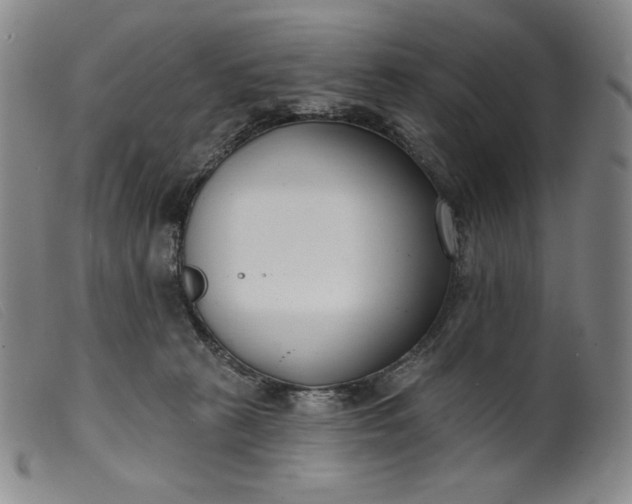 X0000099440273200805231725