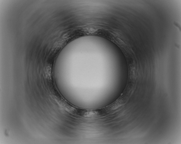 X0000099440274200805231725