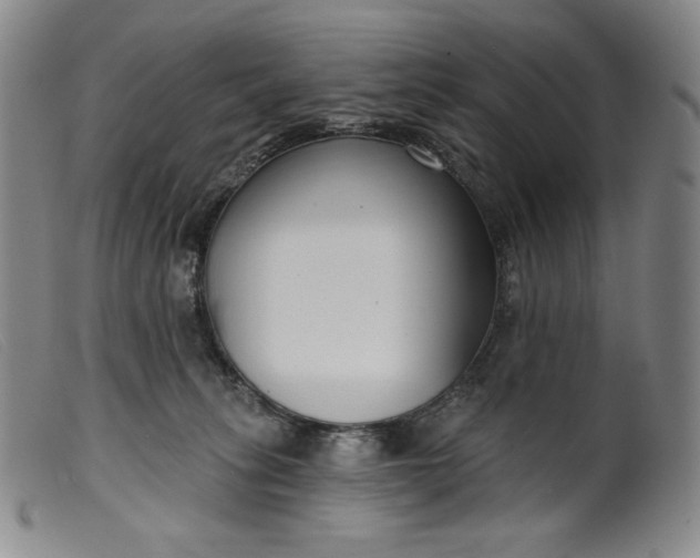 X0000099440275200805231725