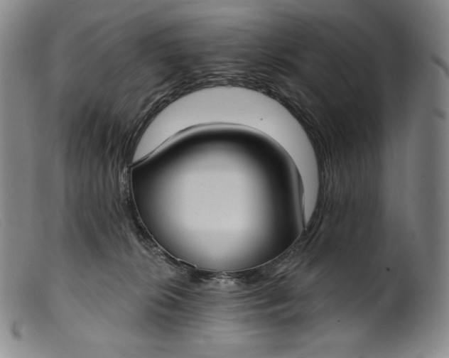 X0000099440276200805231725