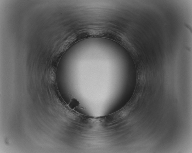 X0000099440277200805231725