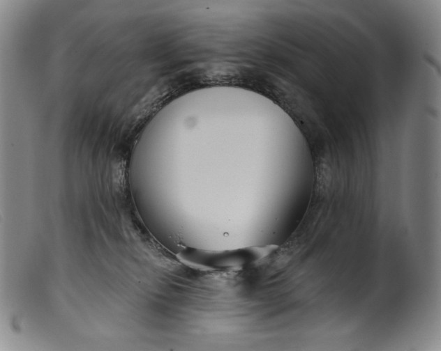 X0000099440278200805231725