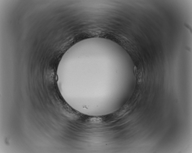 X0000099440279200805231725