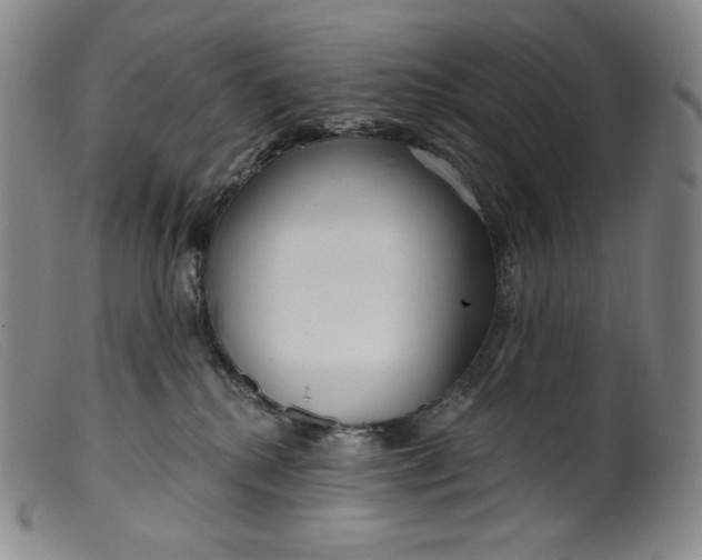 X0000099440280200805231725