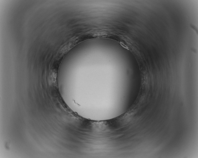 X0000099440281200805231725
