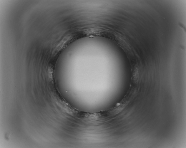 X0000099440282200805231725