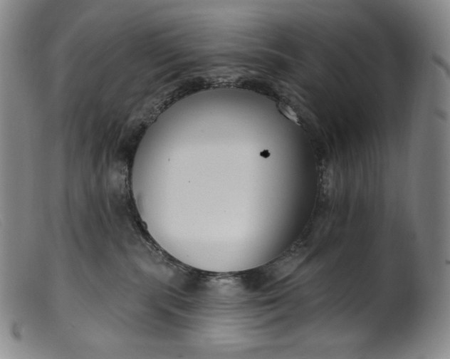 X0000099440283200805231725