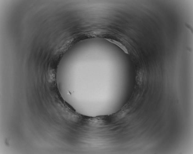 X0000099440284200805231725