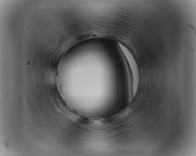 X0000099440285200805231725