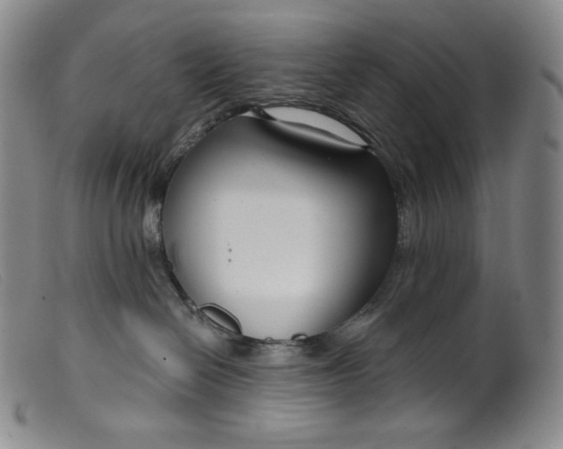 X0000099440286200805231725