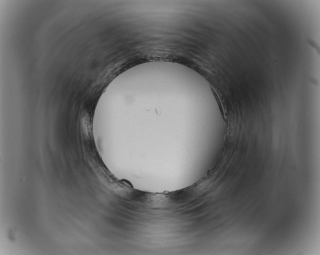 X0000099440287200805231725