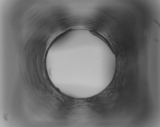 X0000099440289200805231724