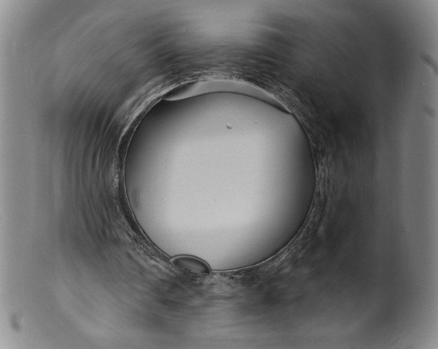 X0000099440290200805231724