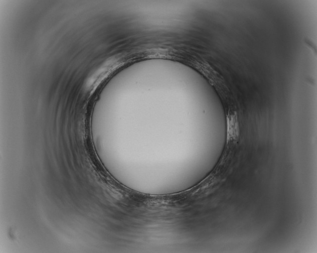 X0000099440291200805231724
