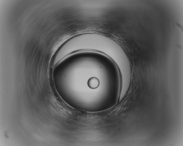 X0000099440292200805231724