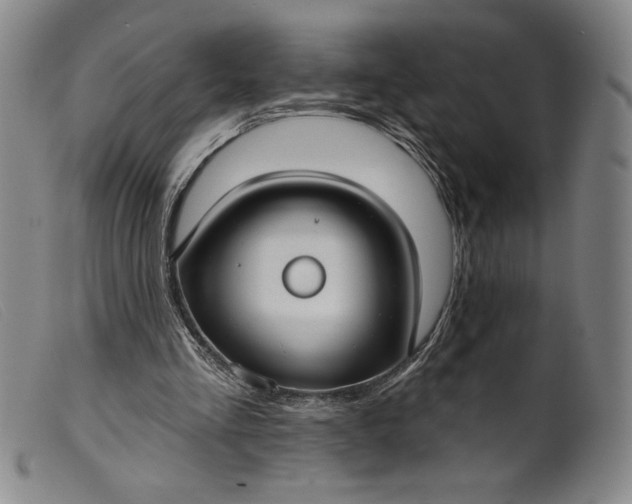 X0000099440293200805231724