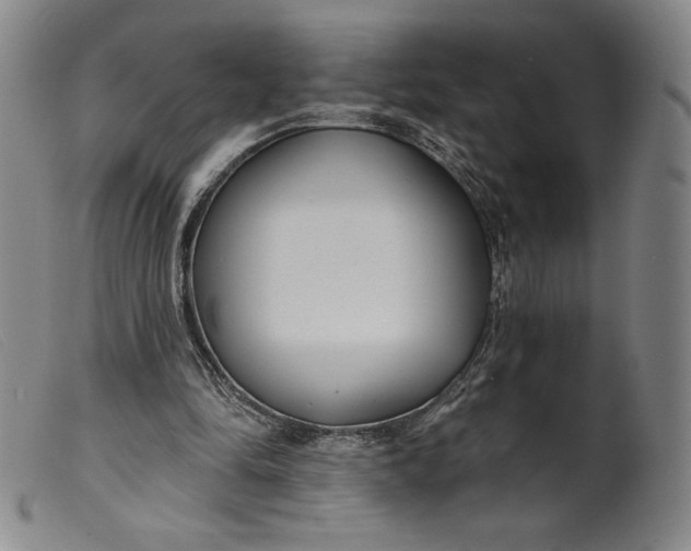 X0000099440294200805231724