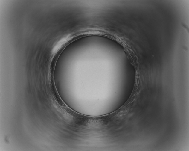 X0000099440296200805231724