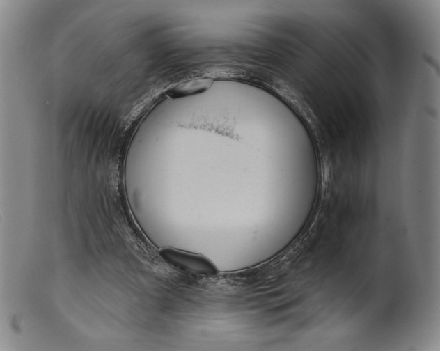 X0000099440297200805231724