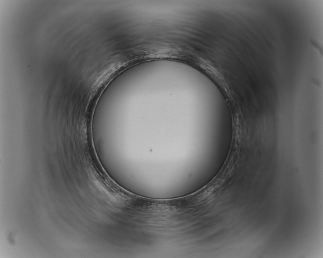 X0000099440298200805231724