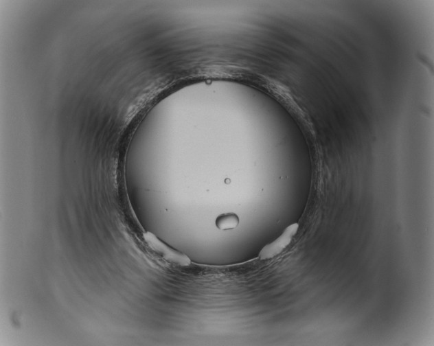 X0000099440299200805231724