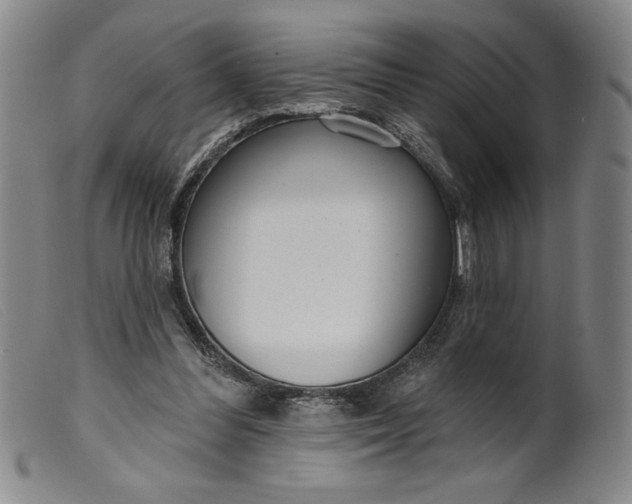 X0000099440300200805231724