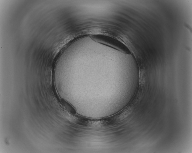 X0000099440301200805231724