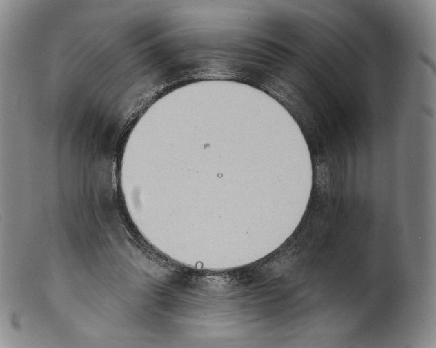 X0000099440302200805231724
