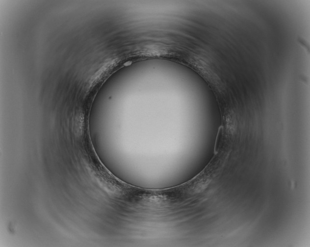 X0000099440304200805231724