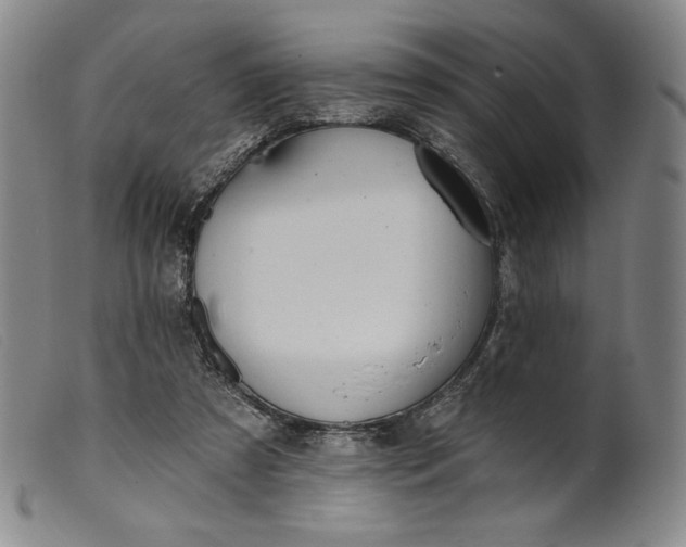 X0000099440305200805231724