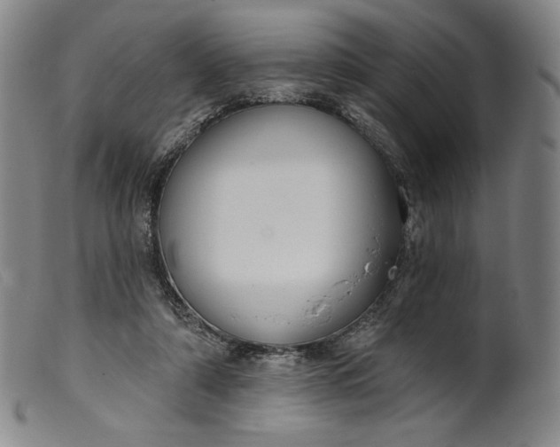 X0000099440306200805231724