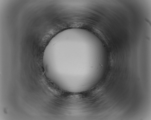 X0000099440307200805231724