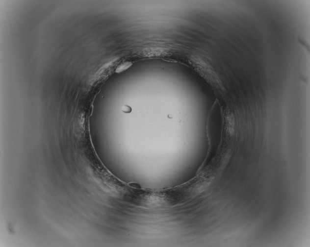 X0000099440308200805231724