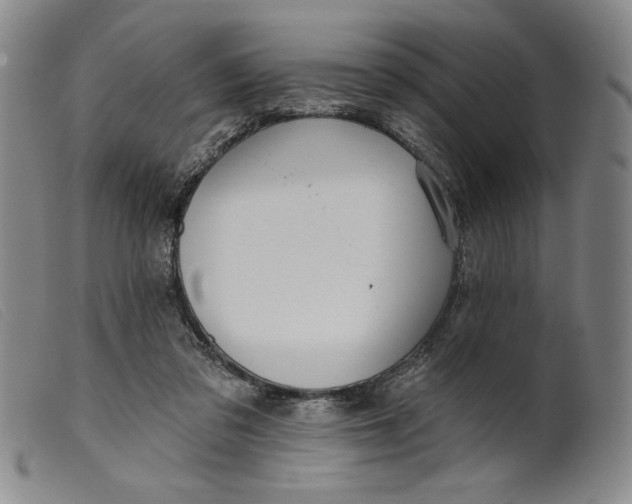 X0000099440309200805231724